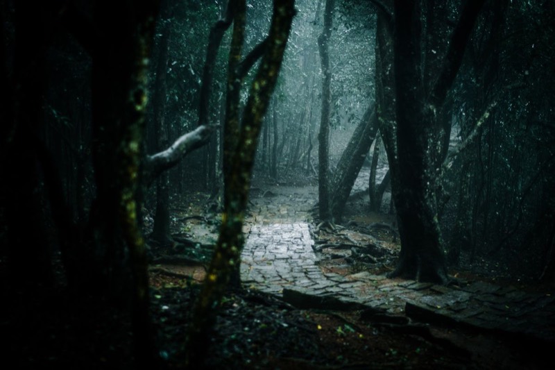 Pan's Labyrinth